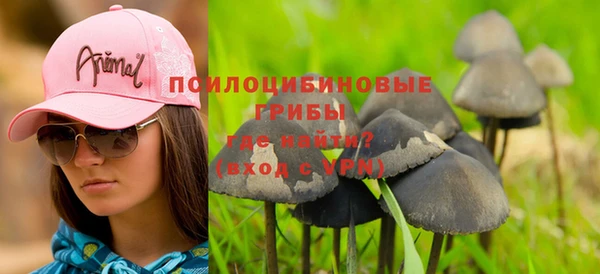 индика Верхний Тагил