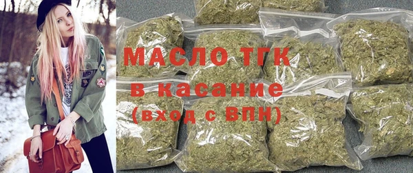 индика Верхний Тагил