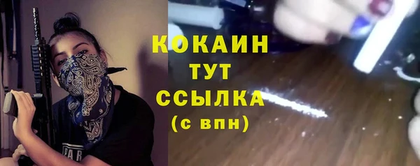 индика Верхний Тагил
