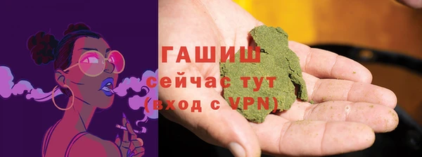 индика Верхний Тагил