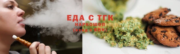 индика Верхний Тагил