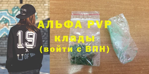 индика Верхний Тагил