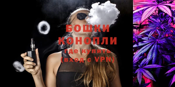 индика Верхний Тагил