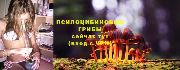 MESCALINE Верея