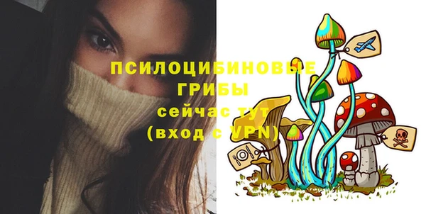 индика Верхний Тагил