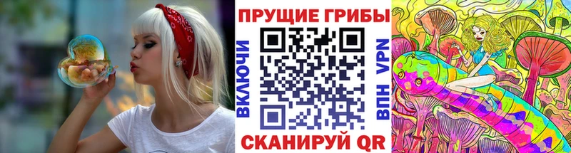 Псилоцибиновые грибы Psilocybe  купить наркотики цена  Инза 